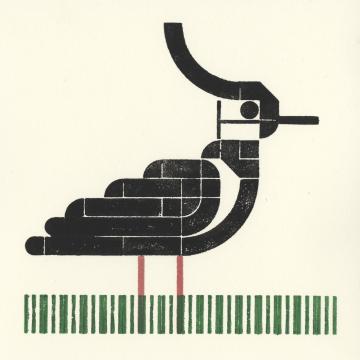 Stylized print of a black bird standing in grass. It has a long crest, white face and belly and pinkish feet.