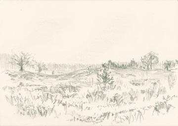 Small drawing of a heath landscape in pencil.