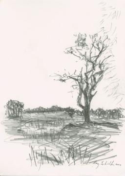 Pencil drawing of a landscape, looking out over flat land with a single tree off center to the right. A small water pool somewhat further in the distance. The horizon is lined with dark strip of trees.