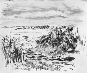 Charcoal drawing of a path leading down onto a field with dunes in the background. The path has bushes on the right, brambles on the left. Cloudy skies.