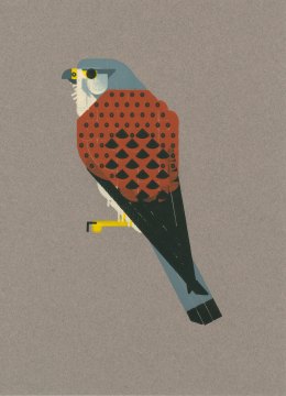 Bird print
