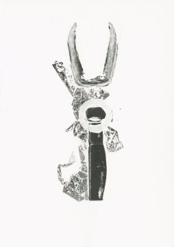 Its two horns looke like fangs.