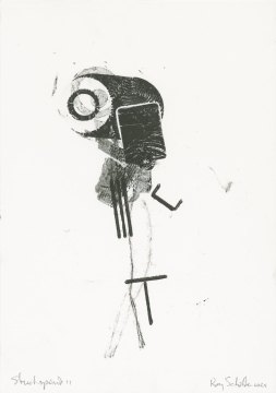 Big eye in a big head, frail lower parts.
