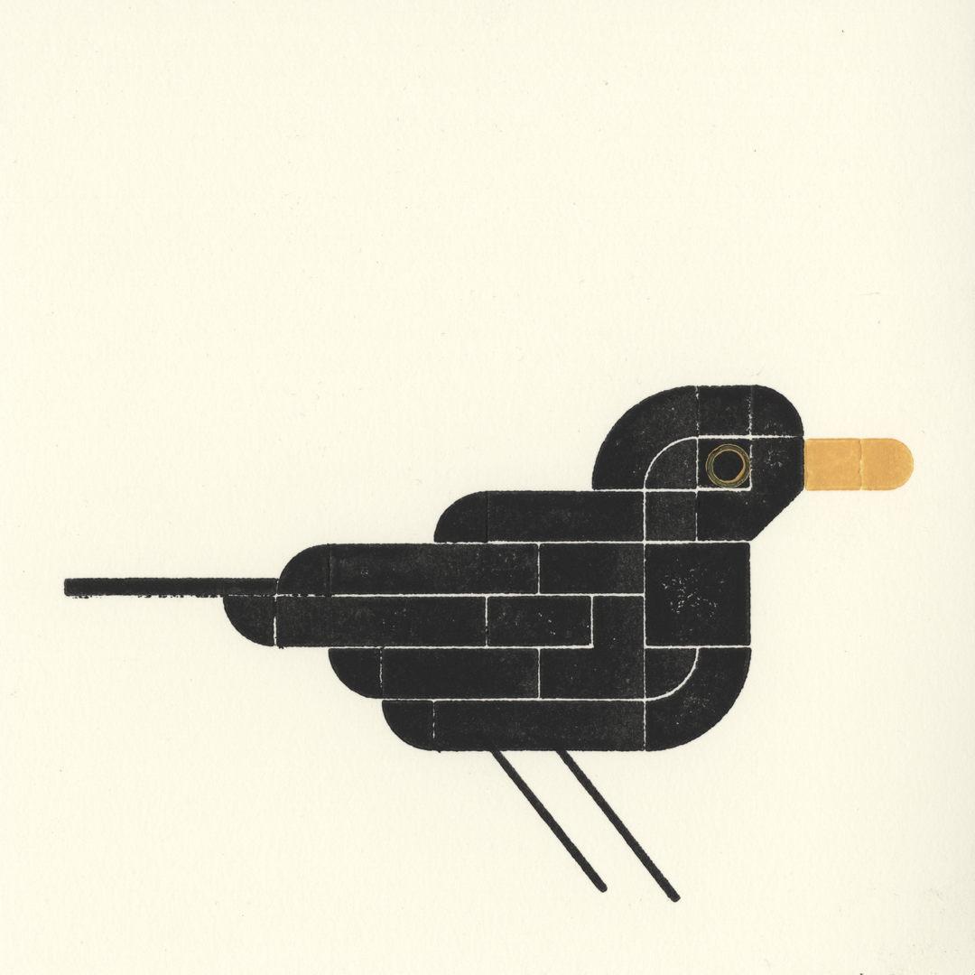 Black bird, yellow beak.