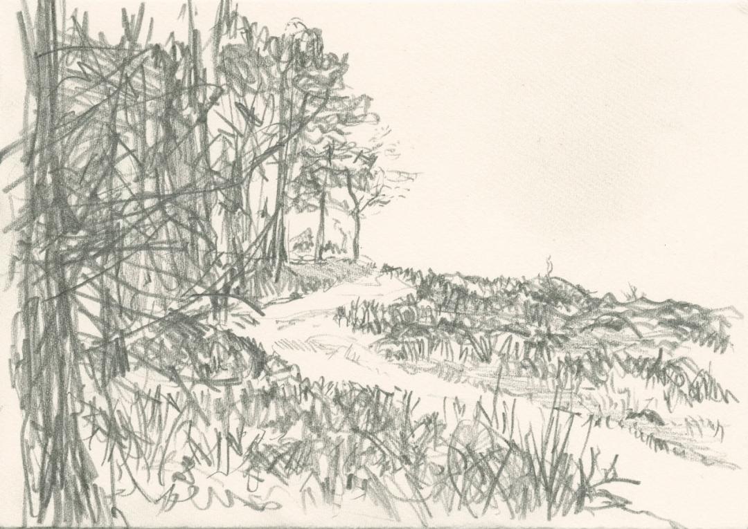 Small pencil drawing of a path going up. Trees on the left, heath on the right side.
