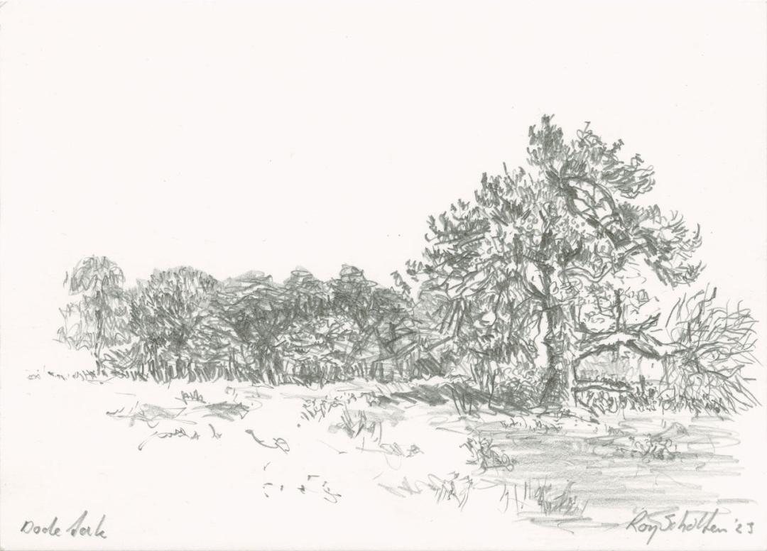 Pencil drawing of a tree with a large dead branch on its bottom right. Other trees further away in the background